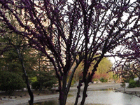 ̫�O�²����O�乫˾���쾰ɫ