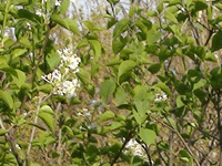 ̫�O�²����O�乫˾���쾰ɫ