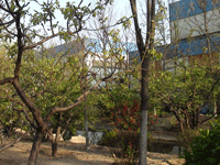 ̫�O�²����O�乫˾���쾰ɫ