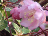 ̫�O��@��ɫ��̫�O�²����O�乫˾