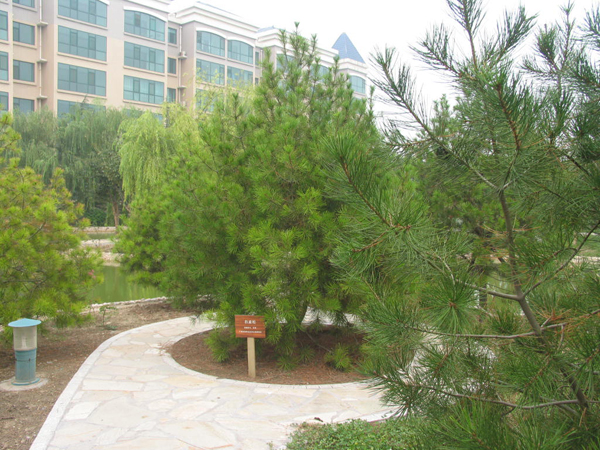 ̫�O�²����O�乫˾